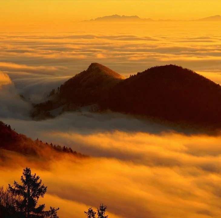 Introverts: How to be Heard in a Sea of Noisy Extroverts - Fhemistry article featured image