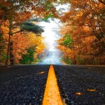 Fall, the Season of Self-Introspection - 7 Ways to Create Abundance and Opportunities - Femme Coach article featured image