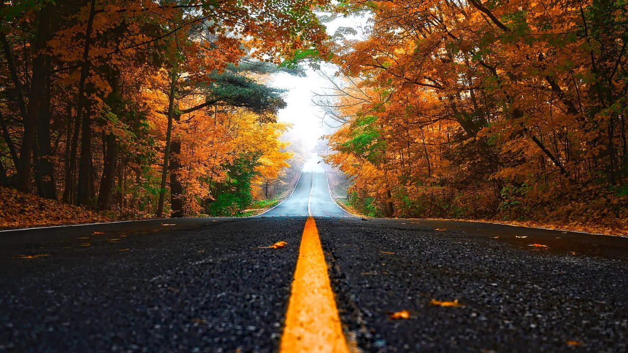 Fall, the Season of Self-Introspection - 7 Ways to Create Abundance and Opportunities - Femme Coach article featured image