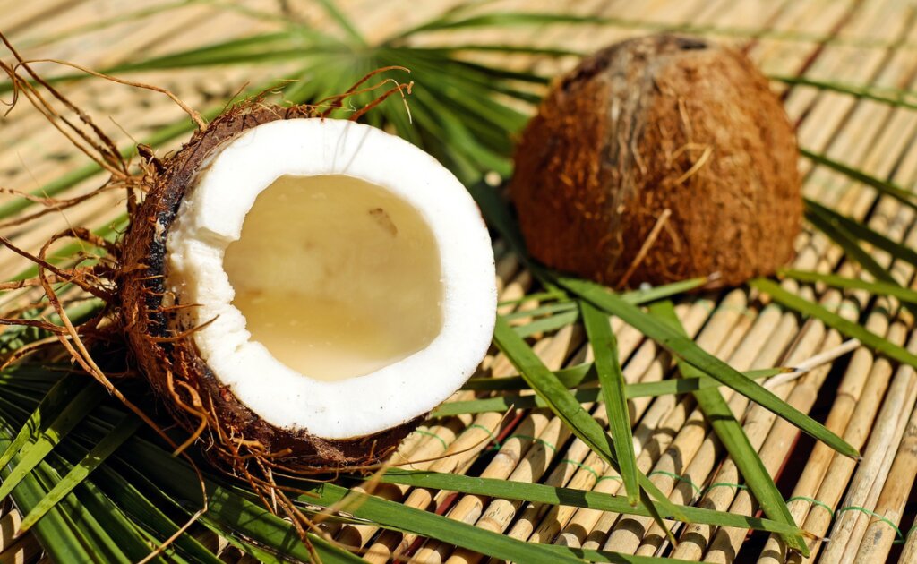 Vegan Ginger and Coconut Cookies - Femme Coach article featured image