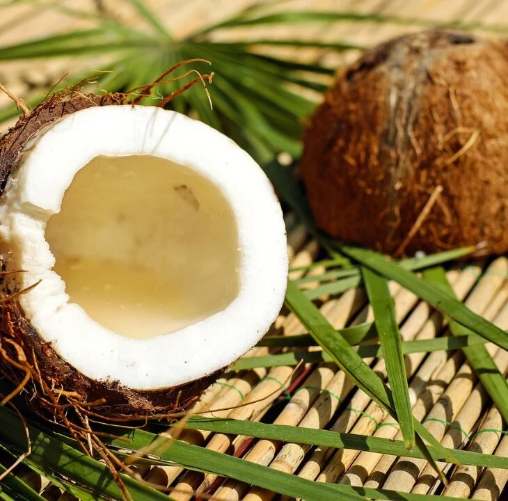 Vegan Ginger and Coconut Cookies - Fhemistry article featured image