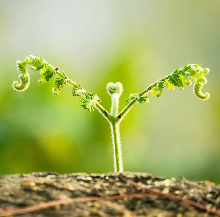 How to Fuel Your Fire in the Discomfort of Growth