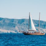 Three Ways to Get Healthy During the Holiday Season - Femme Coach article featured image